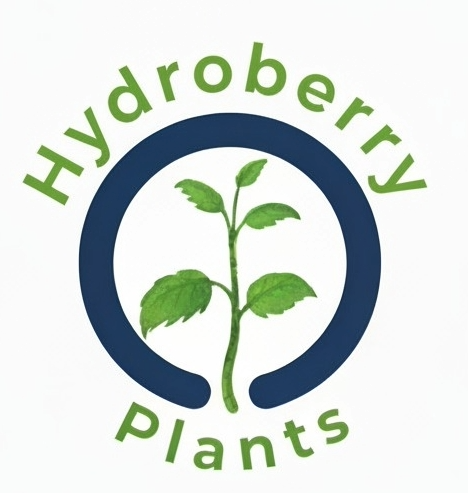Hydroberry Plants Logo